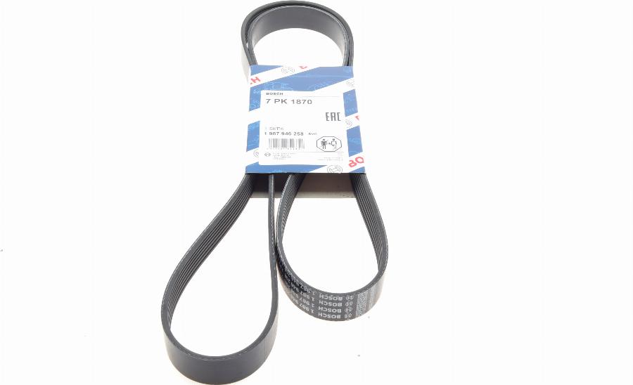 BOSCH 1 987 946 258 - V-Ribbed Belt onlydrive.pro