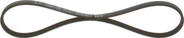 BOSCH 1 987 947 800 - V-Ribbed Belt onlydrive.pro