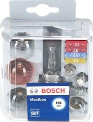 BOSCH 1 987 301 111 - Asortimentas, lemputės onlydrive.pro