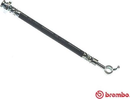 Brembo T 56 164 - Brake Hose onlydrive.pro