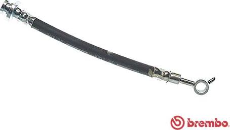 Brembo T 56 165 - Brake Hose onlydrive.pro