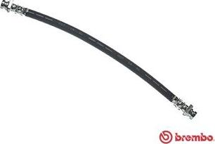 Brembo T 56 166 - Brake Hose onlydrive.pro