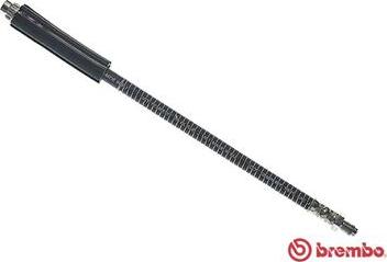 Brembo T 61 041 - Brake Hose onlydrive.pro