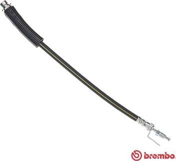 Brembo T 24 146 - Brake Hose onlydrive.pro