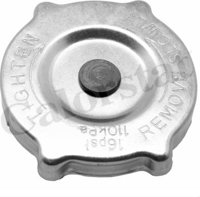 Calorstat by Vernet RC0153 - Sealing Cap, radiator onlydrive.pro