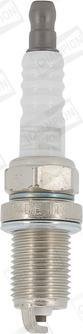 Champion OE014/T10 - Spark Plug onlydrive.pro