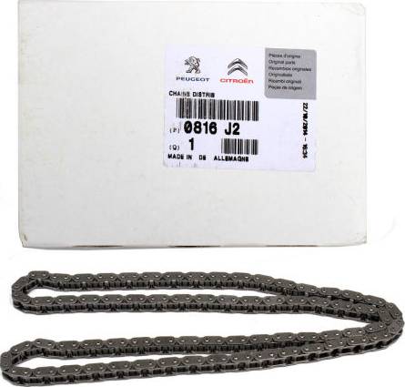 CITROËN V861831880 - Timing Chain Kit onlydrive.pro