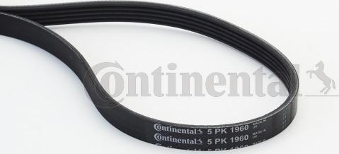 Contitech 5 PK 1960 - V-Ribbed Belt onlydrive.pro