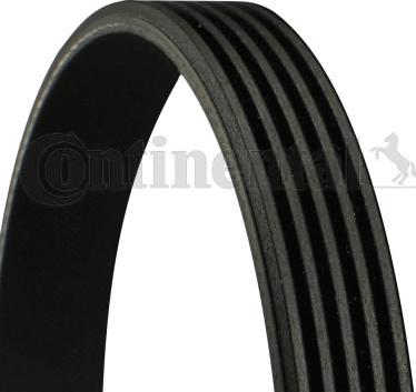 Contitech 5PK1145 - V-Ribbed Belt onlydrive.pro