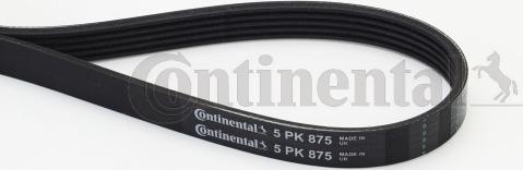 Contitech 5PK875 - V-Ribbed Belt onlydrive.pro