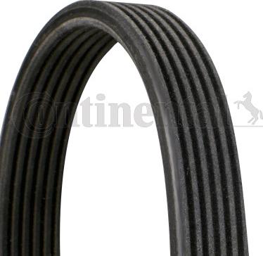 Contitech 6DPK1195 - V-Ribbed Belt onlydrive.pro