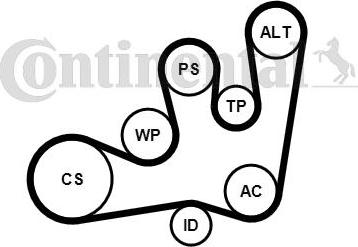 CONTITECH 6PK1642K1 - Ķīļrievu siksnu komplekts onlydrive.pro