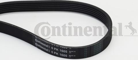 Contitech 6PK1605 - Поликлиновой ремень onlydrive.pro