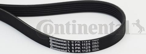 Contitech 6PK1125 - V-Ribbed Belt onlydrive.pro