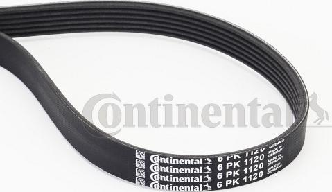 Contitech 6 PK 1120 - V-Ribbed Belt onlydrive.pro