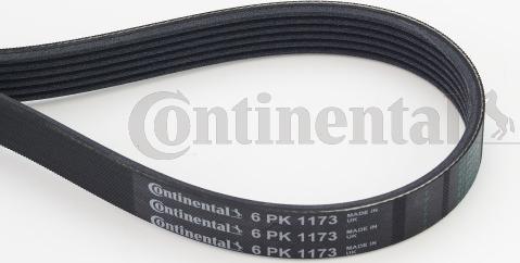 Contitech 6PK1173 - Поликлиновой ремень onlydrive.pro