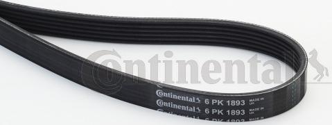 Contitech 6PK1893 - V-Ribbed Belt onlydrive.pro