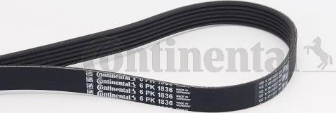 Contitech 6 PK 1836 - Поликлиновой ремень onlydrive.pro