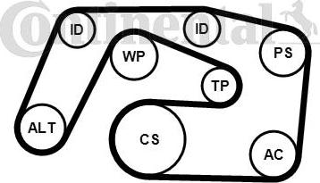 Contitech 6PK2271K1 - V-Ribbed Belt Set onlydrive.pro