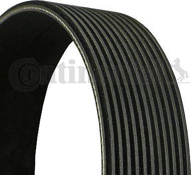 Contitech 11 PK 2871 - V-Ribbed Belt onlydrive.pro