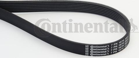 Contitech 7 PK 1970 - V-Ribbed Belt onlydrive.pro