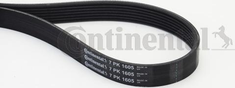 Contitech 7 PK 1605 - Поликлиновой ремень onlydrive.pro