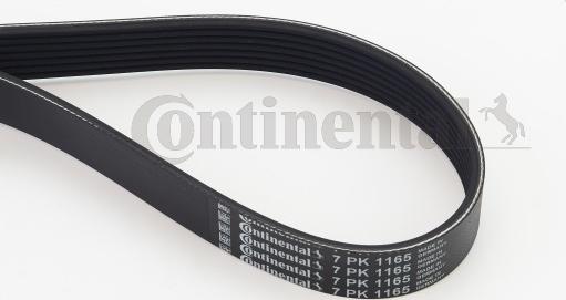 Contitech 7 PK 1165 - V-Ribbed Belt onlydrive.pro