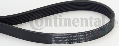 Contitech 7 PK 1705 - V-Ribbed Belt onlydrive.pro