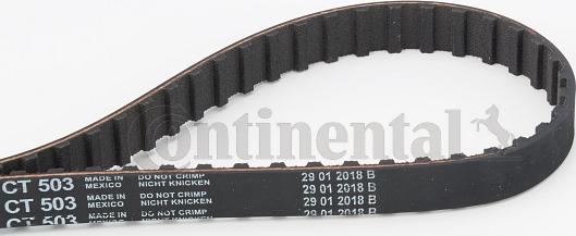 Contitech CT 503 - Timing Belt onlydrive.pro