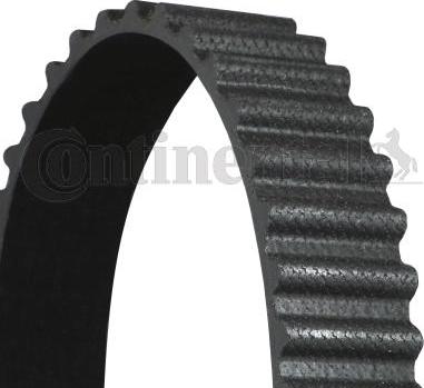 Contitech CT1030 - Timing Belt onlydrive.pro