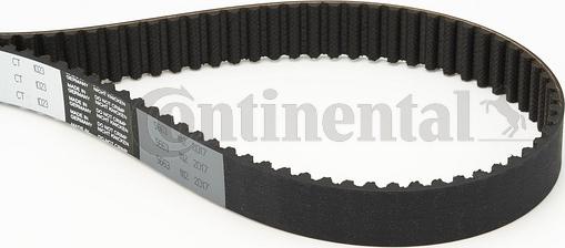 Contitech CT 1023 - Timing Belt onlydrive.pro