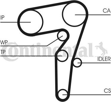 Contitech CT 1155 WP1 - Water Pump & Timing Belt Set onlydrive.pro