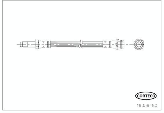 Corteco 19036490 - Pidurivoolik onlydrive.pro