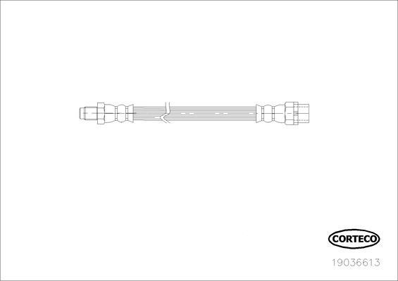 Corteco 19036613 - Brake Hose onlydrive.pro