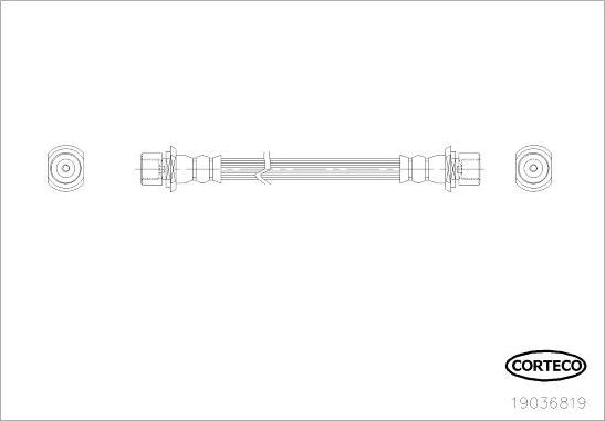 Corteco 19036819 - Brake Hose onlydrive.pro