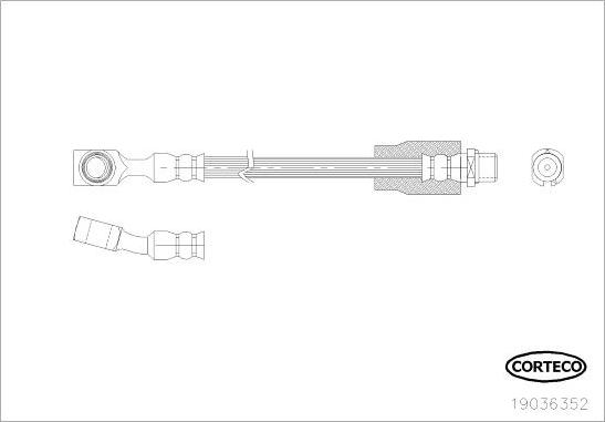 Corteco 19036352 - Brake Hose onlydrive.pro