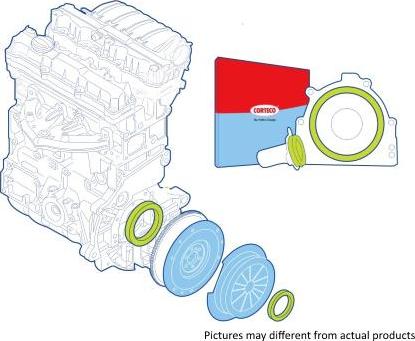 Corteco 19135452 - Shaft Seal Set, clutch onlydrive.pro