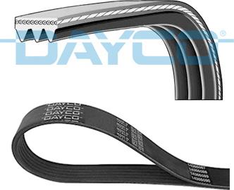 Dayco 3PK576EE - V-Ribbed Belt onlydrive.pro