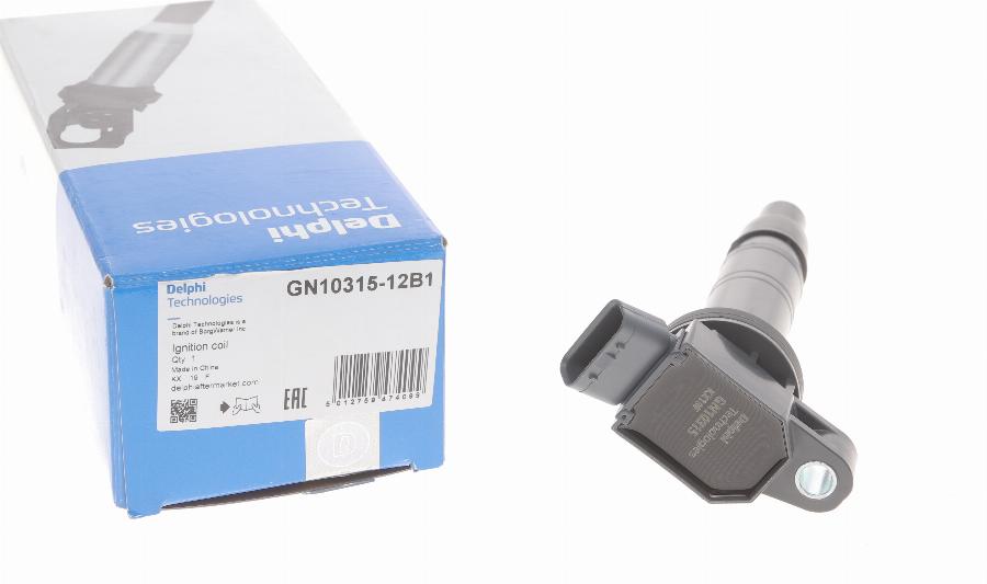 Delphi GN10315-12B1 - Ignition Coil onlydrive.pro