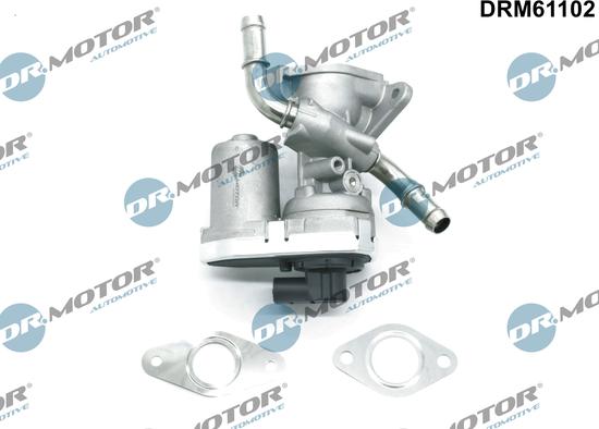 Dr.Motor Automotive DRM61102 - EGR Valve onlydrive.pro