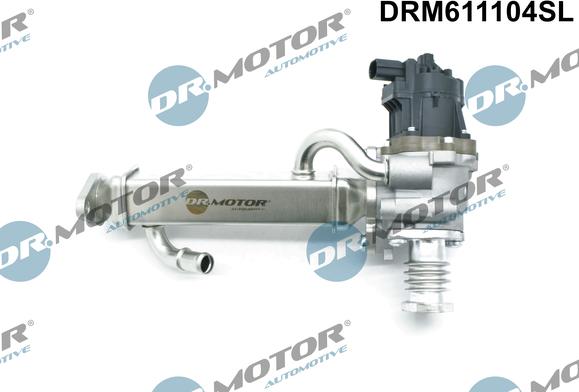 Dr.Motor Automotive DRM611104SL - EGR Valve onlydrive.pro