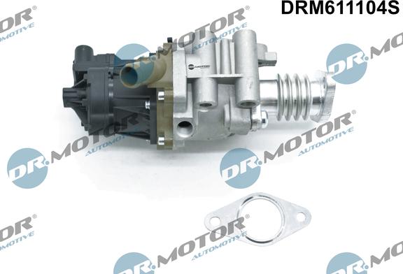 Dr.Motor Automotive DRM611104S - Клапан возврата ОГ onlydrive.pro