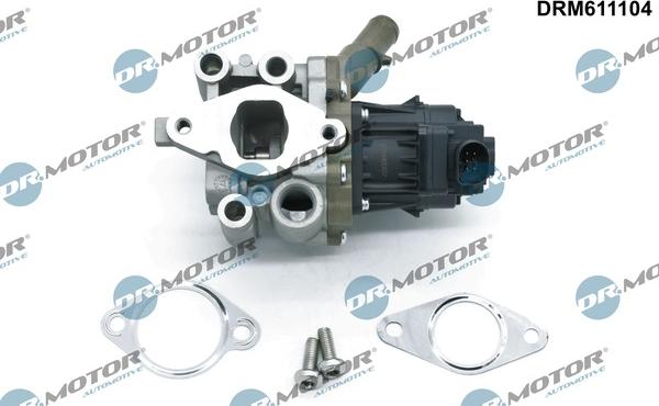 Dr.Motor Automotive DRM611104 - Клапан возврата ОГ onlydrive.pro