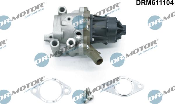 Dr.Motor Automotive DRM611104 - EGR Valve onlydrive.pro