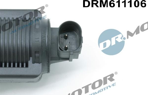 Dr.Motor Automotive DRM611106 - EGR Valve onlydrive.pro