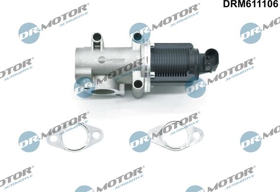 Dr.Motor Automotive DRM611106 - Izpl. gāzu recirkulācijas vārsts onlydrive.pro