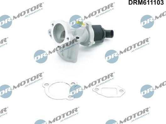 Dr.Motor Automotive DRM611103 - EGR Valve onlydrive.pro