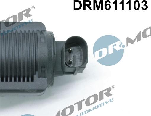 Dr.Motor Automotive DRM611103 - EGR Valve onlydrive.pro