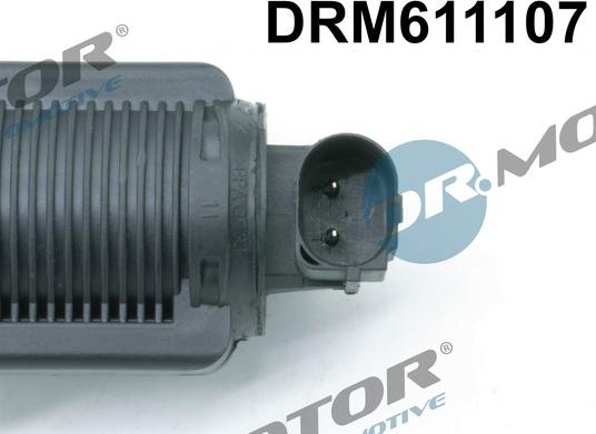 Dr.Motor Automotive DRM611107 - EGR Valve onlydrive.pro