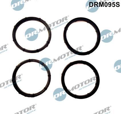 Dr.Motor Automotive DRM095S - Gasket Set, intake manifold onlydrive.pro